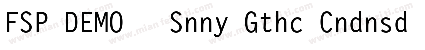 FSP DEMO   Snny Gthc Cndnsd Regula字体转换